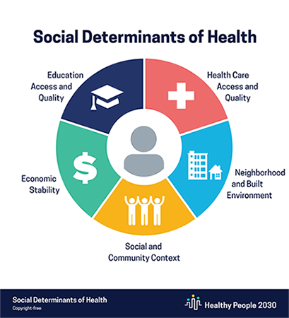 What are Social Determinants of Health and How Does Food Insecurity Play a Role?