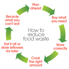 How Can You Reduce Food Waste This Earth Day?