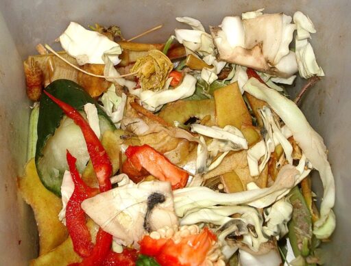 Hunger Action Month: Shocking Facts About Food Waste