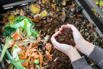 Reducing Food Waste is a Powerful Tool for Fighting Climate Change