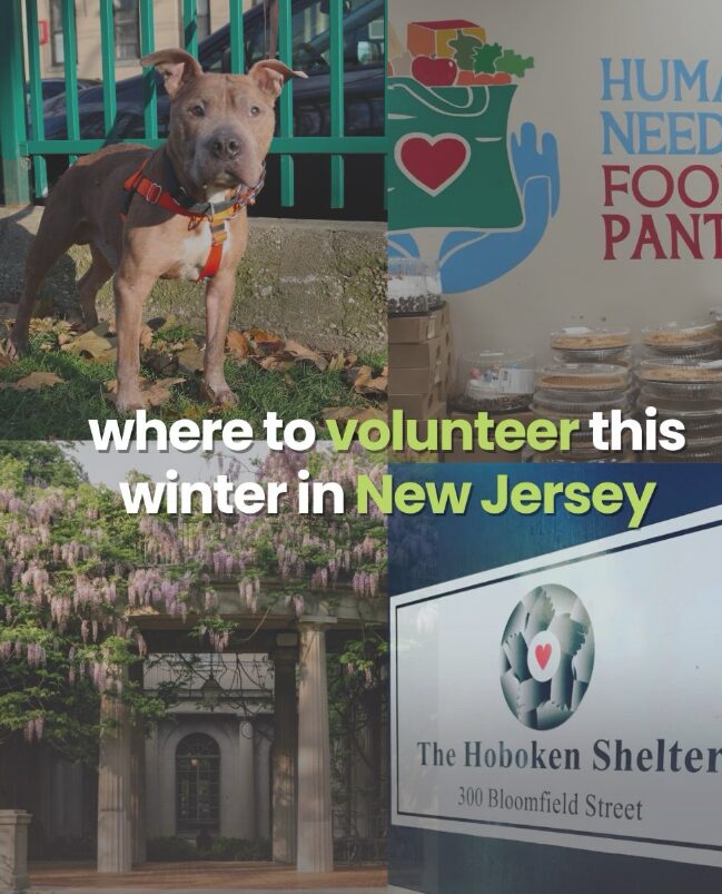 Table to Table was featured by The Hoboken Girl as one of the places to volunteer in Bergen County this winter.